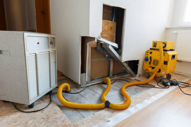  South Chicago Heights, IL Mold Removal Pros